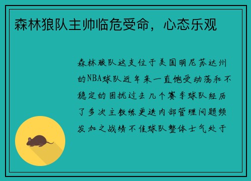 森林狼队主帅临危受命，心态乐观